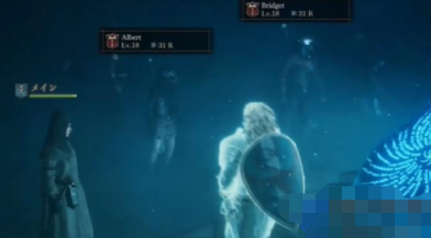 龙之信条2随从介绍