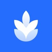 麦片屏幕翻译
